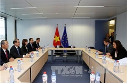 EU muốn hợp tác phát triển mạnh hơn với Việt Nam 